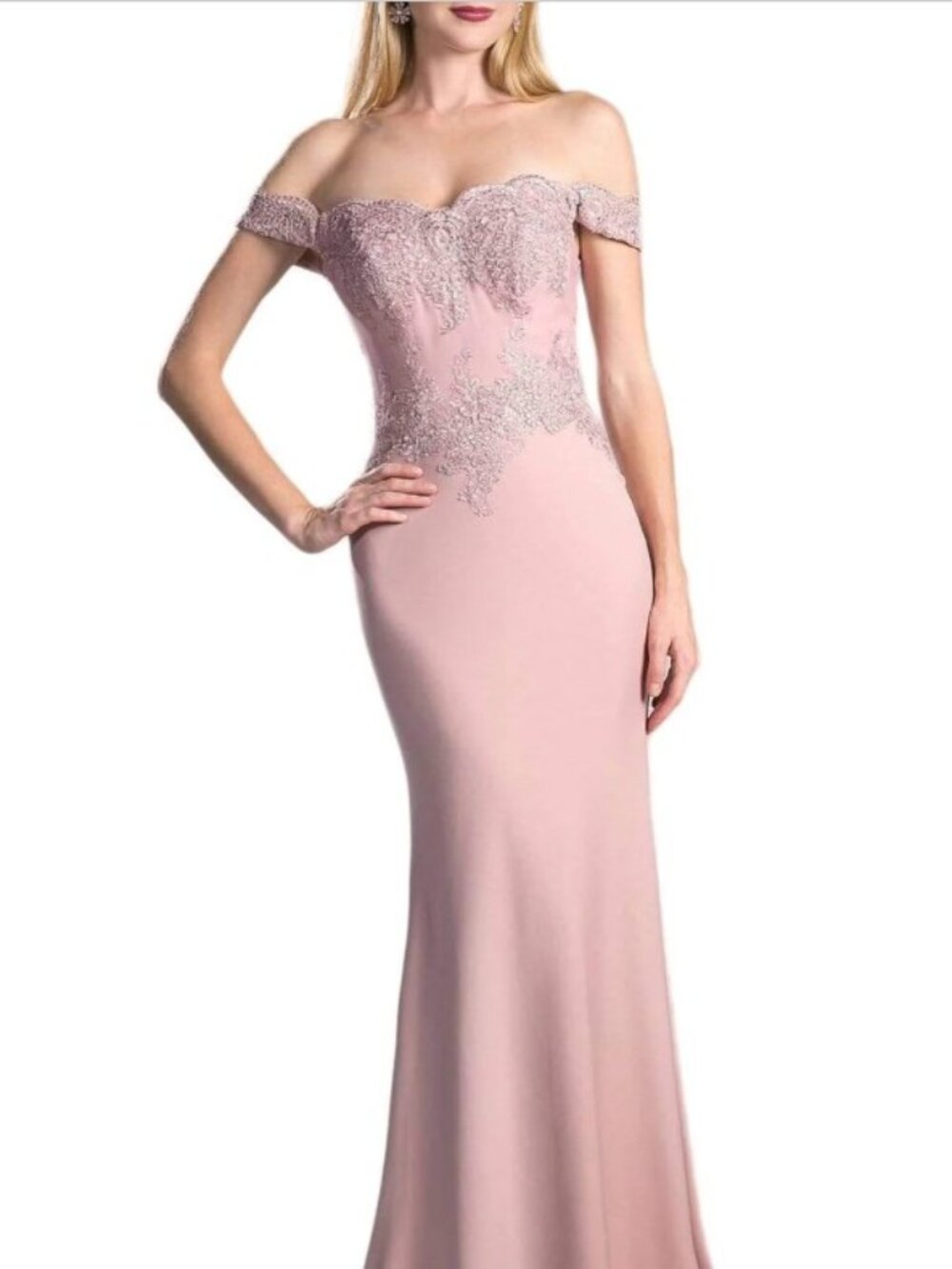 Cinderella Divine Off-Shoulder Lace Bodice Soft Pink Mermaid Gown Sz M